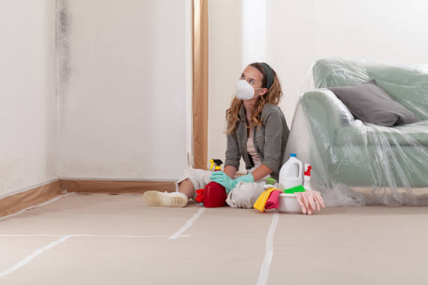 Reliable Mold Remediation contractor in Glendale, AZ by WQB Mold Removal